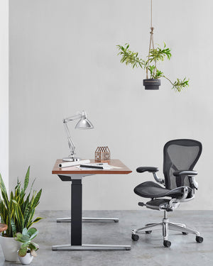 Renew Height Adjustable Table from Herman Miller